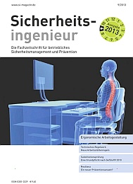 Sicherheitsingenieur